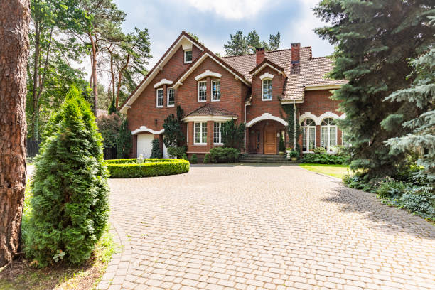 Best Professional Driveway Pavers  in Lenoir, NC