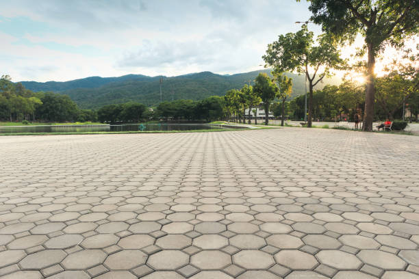 Best Commercial Driveway Pavers  in Lenoir, NC